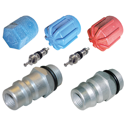 Omega Environmental Technologies MT2904 Cap & Valve Kit 
