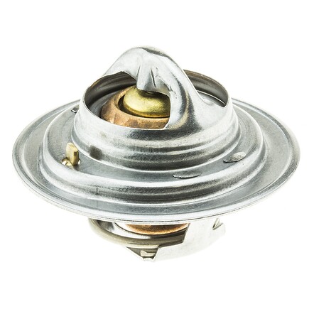 Motorad 244198  Thermostat