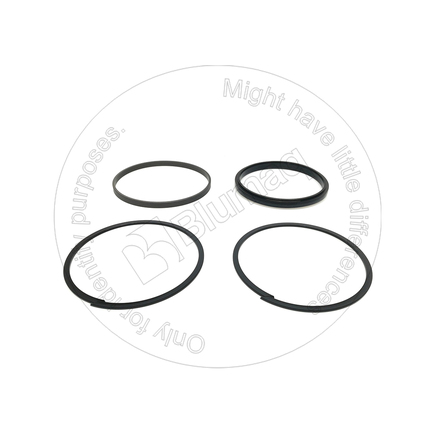Blumaq 7074416150  Seal