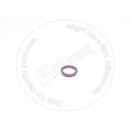 Blumaq 7075135210  Packing
