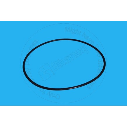 Blumaq 4193321710  Seal