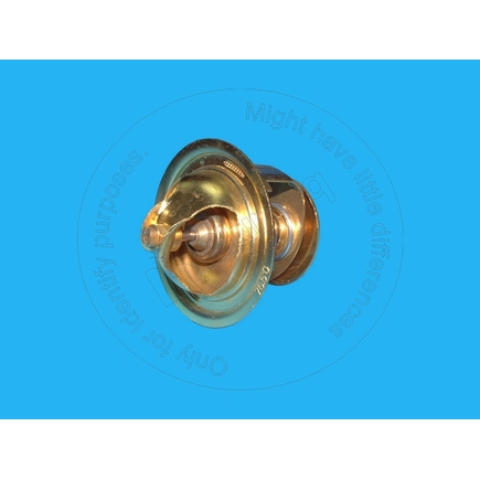 Blumaq 6004216210  Thermostat