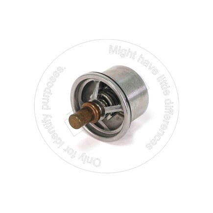 Blumaq 6004216610  Thermostat