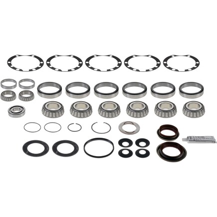Dana 217463 Kit Basic Overhaul