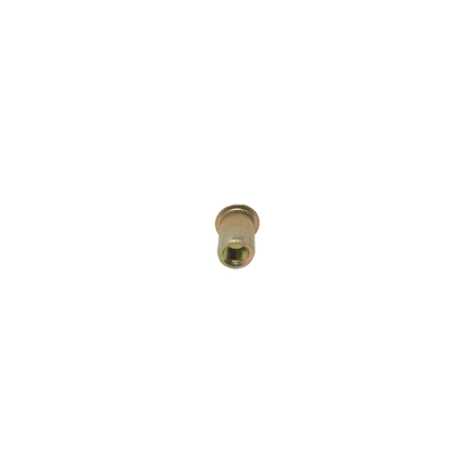 Mack 25160455  Rivet