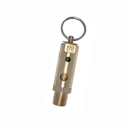 Apollo Valves RVA1512200  Pressure Relief Valve 200 Psi 050 In