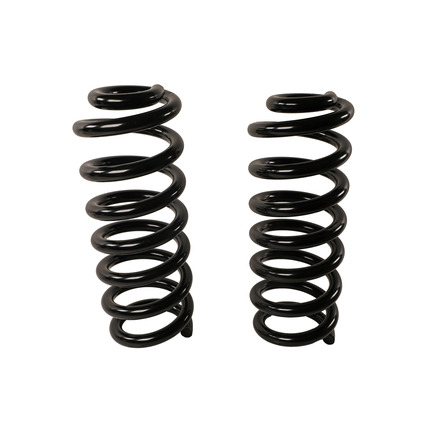 Moog 81769 - Coil Spring Set