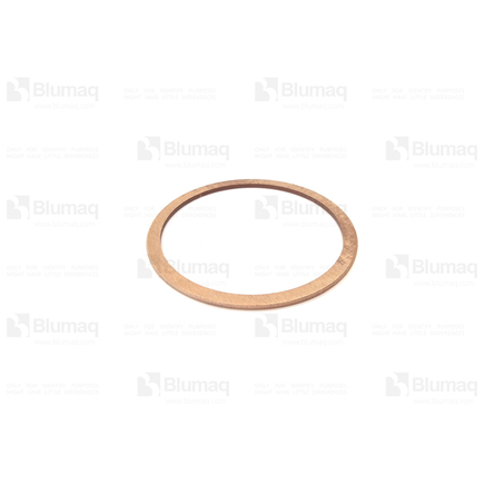Blumaq 242-6252 - Washer