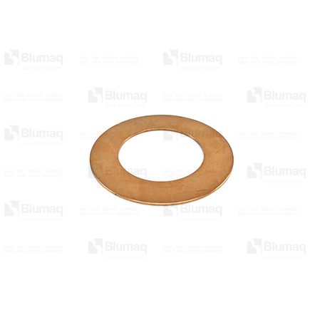 Blumaq 4V5234  Washer