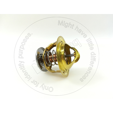 Blumaq 6004216310  Thermostat