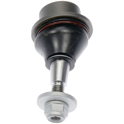 Dorman 538454