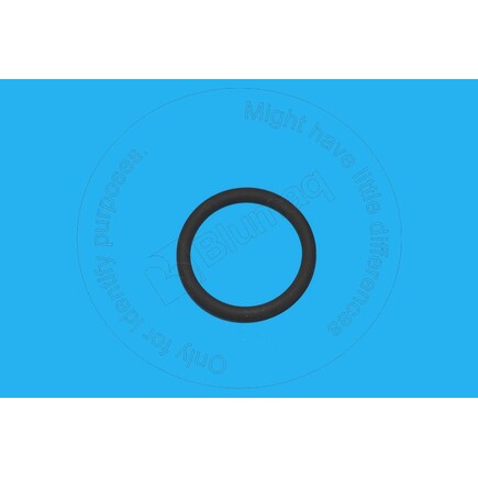 Blumaq 0336027  Seal O Ring
