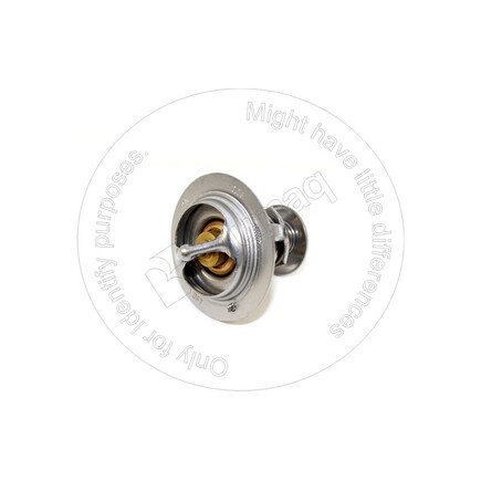 Blumaq 6004216120  Thermostat