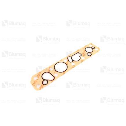 Blumaq 4191516550  Gasket