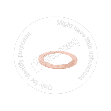 Blumaq 4191512620  Washer
