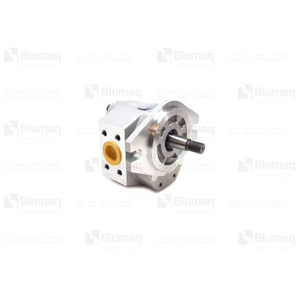 Blumaq 4194653  Pump