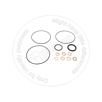 Blumaq 2739640  Seal Kit
