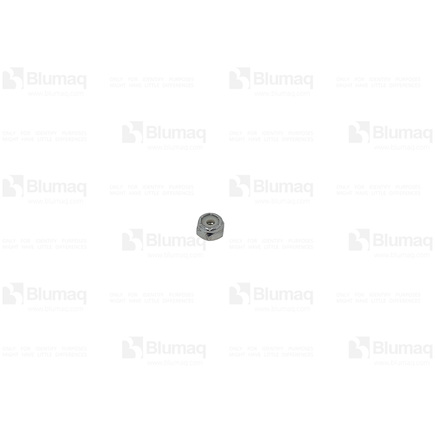 Blumaq 4881305  Hexagon Nut