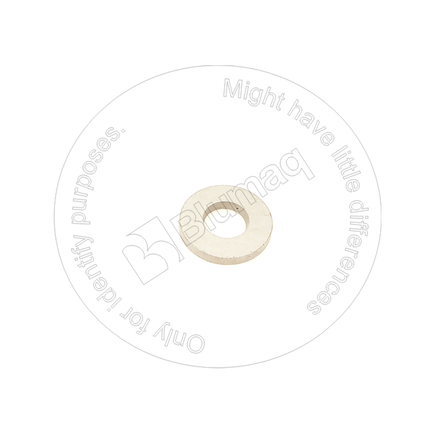 Blumaq 4925818  Washer