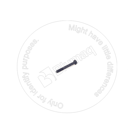 Blumaq 4929795  Bolt