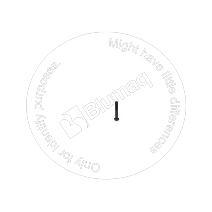 Blumaq 4946031  Bolt