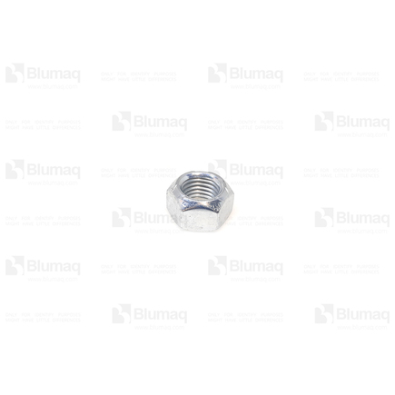 Blumaq 5D6629  Hexagon Nut