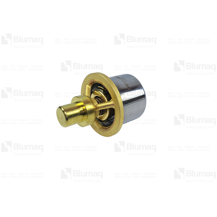 Blumaq 6004216620  Thermostat