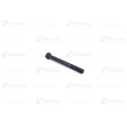Blumaq 5943817  Bolt