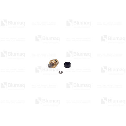 Blumaq 19291300  Hydraulic Pusher