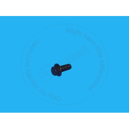 Blumaq 244158  Bolt