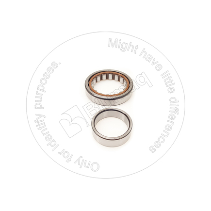 Blumaq 4191512591  Bearing