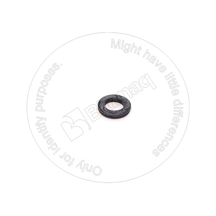 Blumaq 4191514870  Gasket