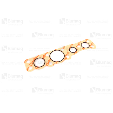 Blumaq 4191515750  Gasket