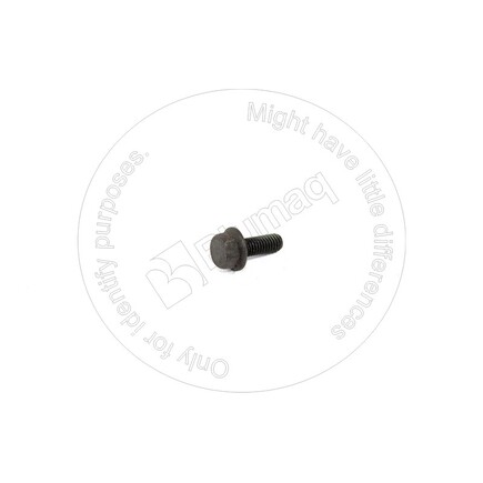 Blumaq 41956H0P13  Bolt
