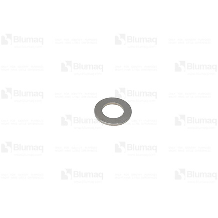 Blumaq 42100H0980  Washer