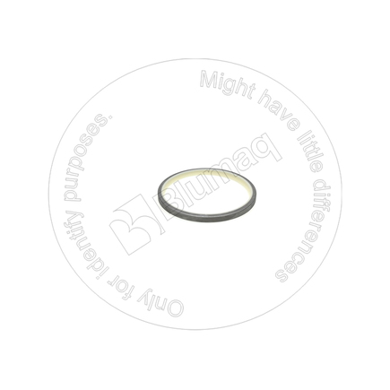 Blumaq 4210911320  Seal