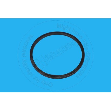 Blumaq 5664042822  Seal