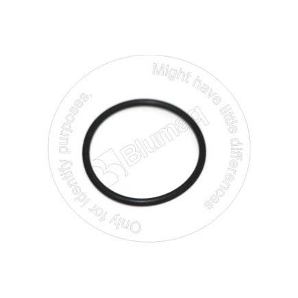 Blumaq 2030215  Seal O Ring