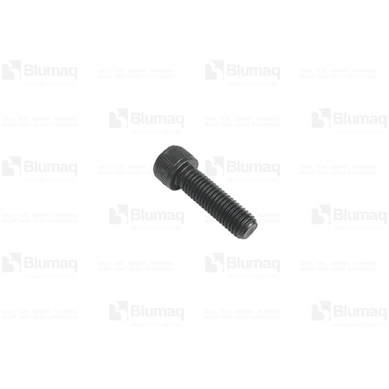 Blumaq 3313796  Bolt