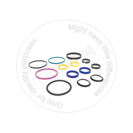 Blumaq 2385234  Seal Kit