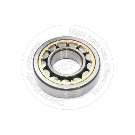 Blumaq 5865974  Bearing