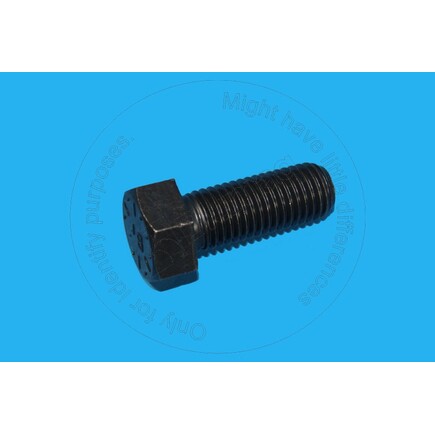 Blumaq 43498  Bolt