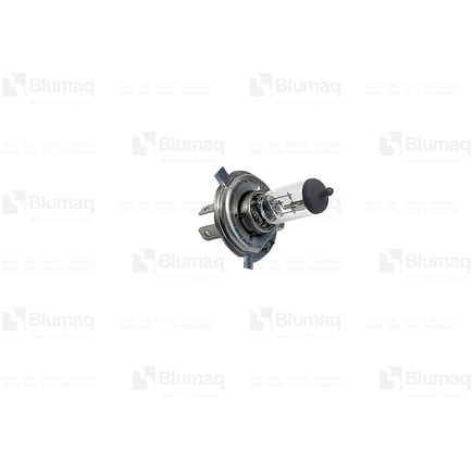 Blumaq 419Z811120  Bulb
