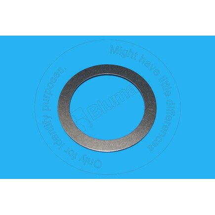 Blumaq 4191512240  Washer