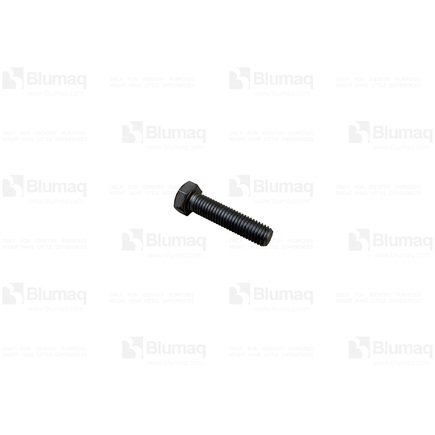 Blumaq 2414588  Bolt