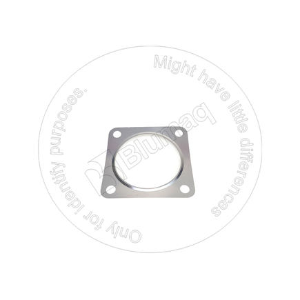 Blumaq 4923310  Gasket