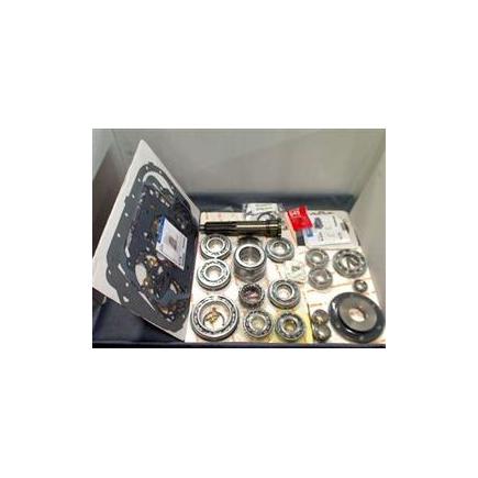 Fuller K1972 - Basic Ohaul Kit
