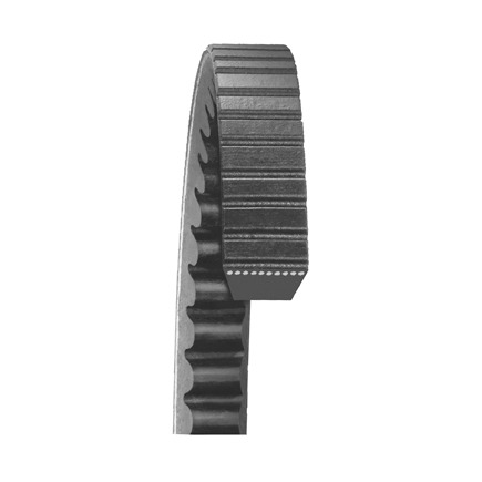 Dayco 22520 - Top Cog Gold Label V Belt Dayco 22520 - Top Cog Gold Label V Belt