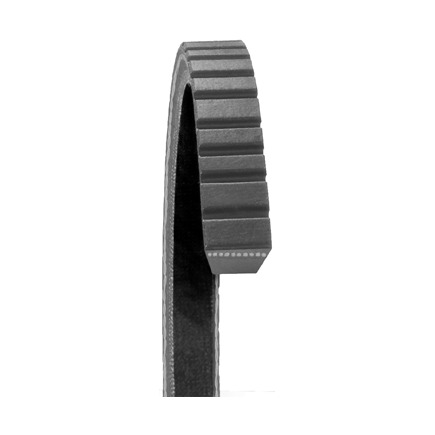 Dayco 17590 - Top Cog Gold Label V Belt Dayco 17590 - Top Cog Gold Label V Belt