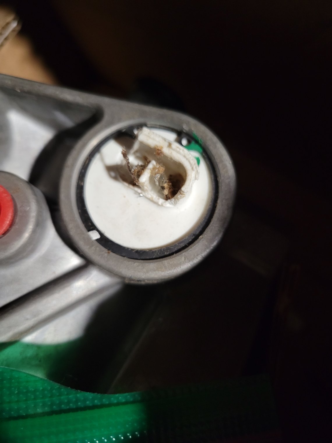 Customer review photo for 800887: 